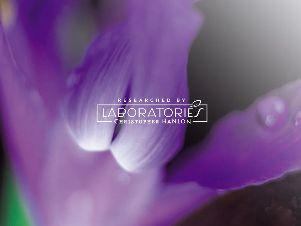 BODY + HAND WASH | LAVENDER, LIME + MANUKA