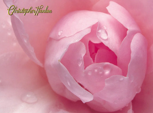 EXCLUSIVE OFFER - BESPOKE ANTI ÂGE FACE LIFT MOISTURIZER | All Skin Types